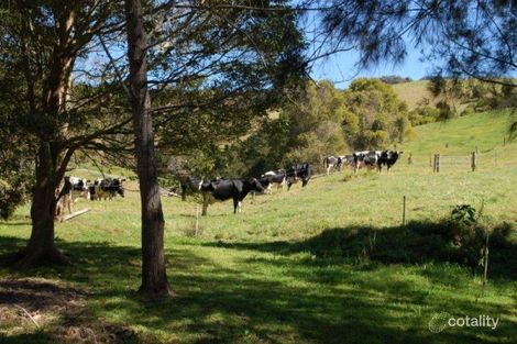 Property photo of 150 Mount Brandon Road Jerrara NSW 2533