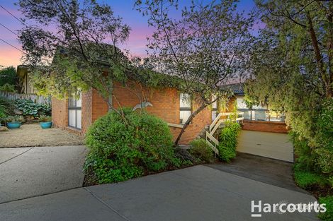 Property photo of 17 Culbara Drive Vermont VIC 3133