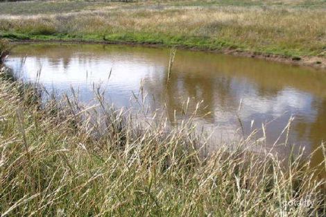 Property photo of 64 Jacksons Road Young NSW 2594