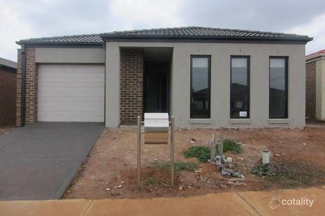 Property photo of 13 Opal Street Cobblebank VIC 3338