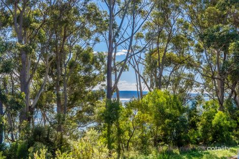 Property photo of 53 Bannister Head Road Mollymook Beach NSW 2539