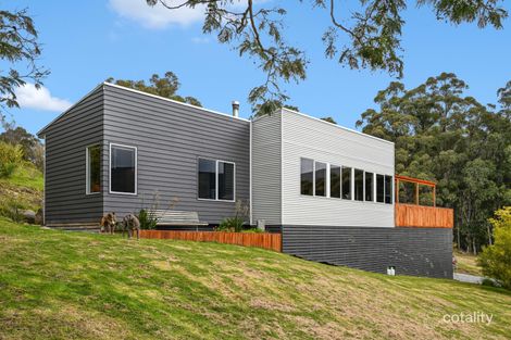 100 Misty Hill Rd, Mountain River, TAS 7109