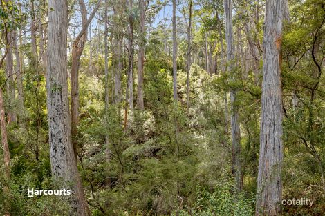 51 Williams Rd, Randalls Bay, TAS 7112