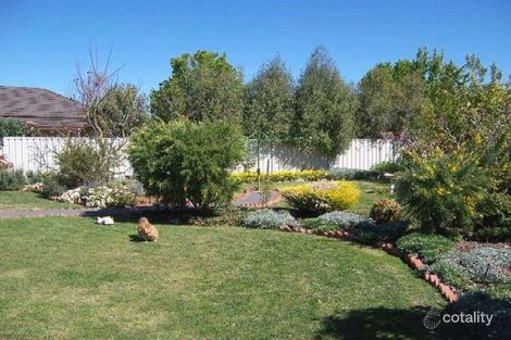 Property photo of 18 Winnima Avenue Moama NSW 2731