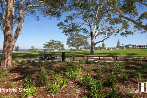 Property photo of 17 Taranga Street Gledswood Hills NSW 2557