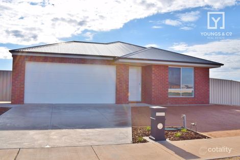11 Wollemi Dr, Shepparton North, VIC 3631