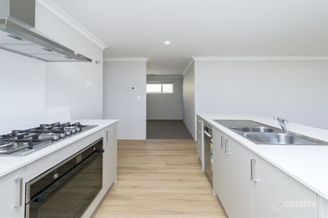 Property photo of 7 Parktree Avenue Yanchep WA 6035