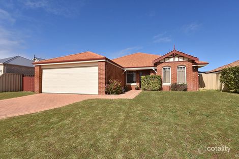 21 Ammanford Cres, Butler, WA 6036