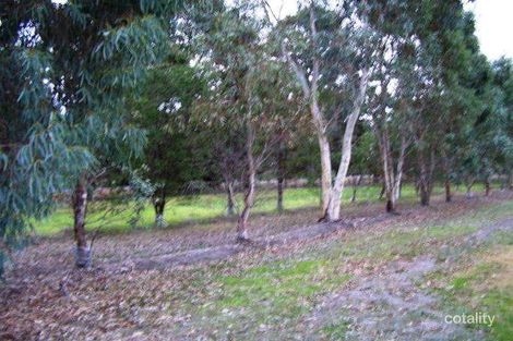 Property photo of 13 Albury Court Boyanup WA 6237