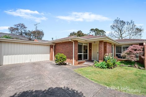 Property photo of 4/16 Myrtle Street Ivanhoe VIC 3079