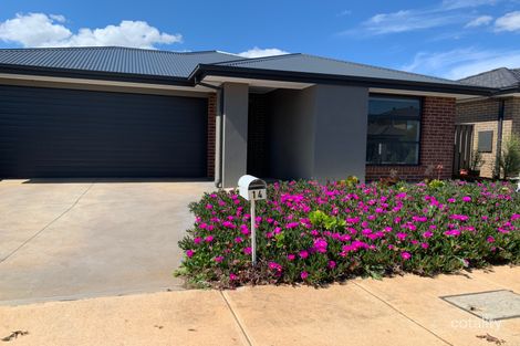 14 Gem Cres, Cobblebank, VIC 3338