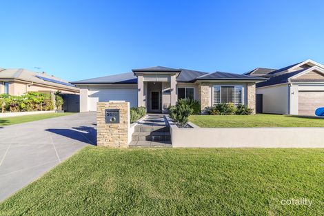 Property photo of 36 Hickory Street Carseldine QLD 4034