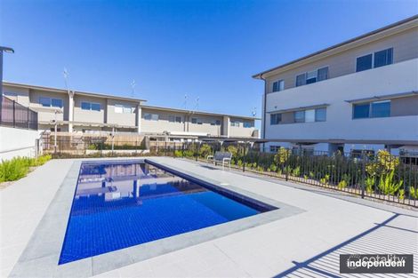 Property photo of 15/311 Flemington Road Franklin ACT 2913