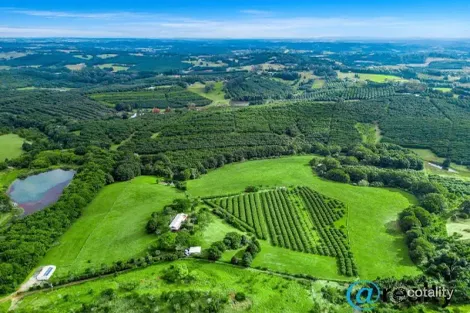 617 Hinterland Way, Newrybar, NSW 2479