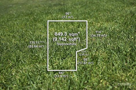 Property photo of 34 Pine Street Brighton East VIC 3187