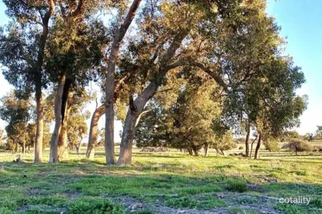 Property photo of 3473 Bindoon-Moora Road Mogumber WA 6506