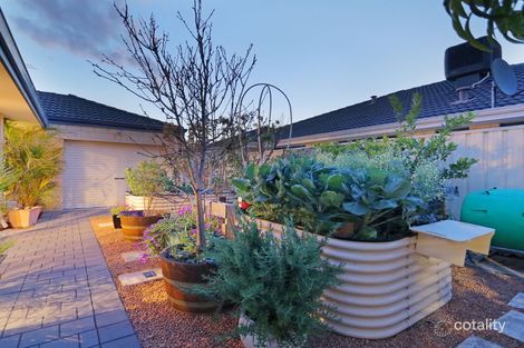 Property photo of 33 Bordeaux Parade Piara Waters WA 6112