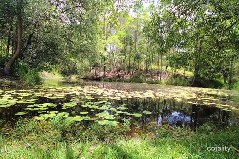 Property photo of 260 Coles Creek Road Cooran QLD 4569