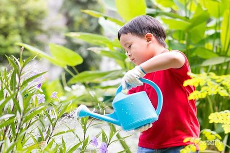 Lot 84 Petrin Rd, Landsdale, WA 6065