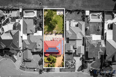 Property photo of 7 Adelaide Place Cecil Hills NSW 2171