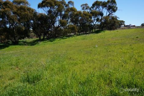 Property photo of 15 Rayner Loop Nunile WA 6566