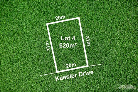 4 Kaesler Dr, Nuriootpa, SA 5355