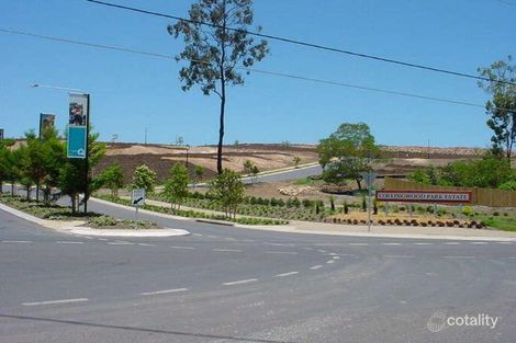 Property photo of 21 Aleisha Court Collingwood Park QLD 4301