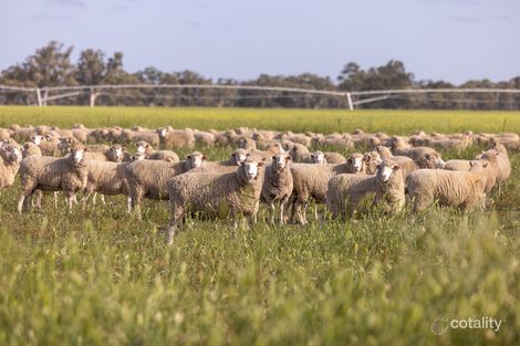 715 Danbys Rd, Frances, SA 5262