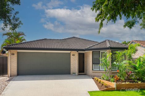 Property photo of 23 Trinity Crescent Sippy Downs QLD 4556