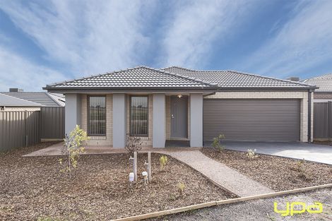 19 Alabaster Ave, Cobblebank, VIC 3338
