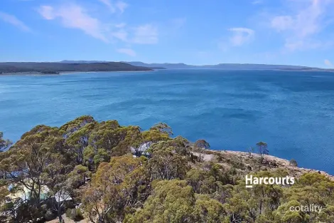 Property photo of 41 Wallace Road Doctors Point TAS 7304