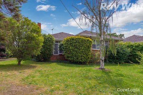 Property photo of 51 Ferdinand Avenue Balwyn North VIC 3104