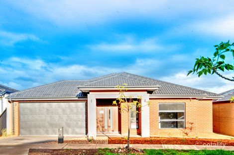 34 Fitzpatrick Cct, Kalkallo, VIC 3064
