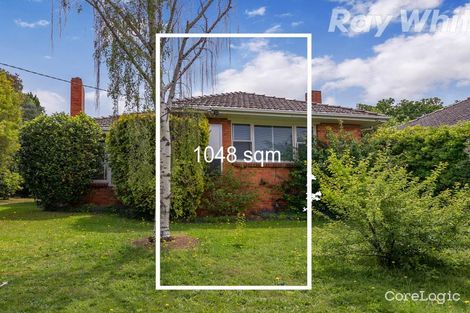 Property photo of 51 Ferdinand Avenue Balwyn North VIC 3104