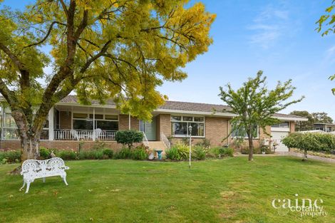 134 Finlay St, Brown Hill, VIC 3350