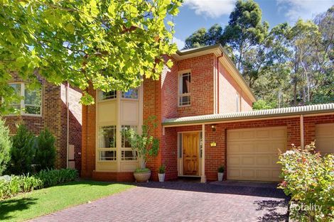 31/5 Mount Barker Rd, Urrbrae, SA 5064