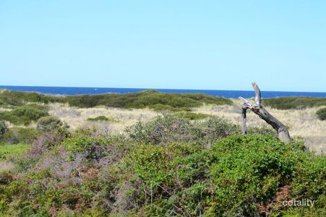 Property photo of 81 Scamander Avenue Scamander TAS 7215