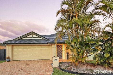 Property photo of 20 Richmond Street Calamvale QLD 4116