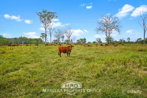 764 Hodzic Rd, Biboohra, QLD 4880