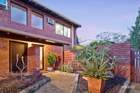 Property photo of 5/60 First Avenue Mount Lawley WA 6050