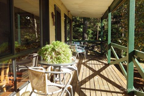 Property photo of 488 Scotts Head Road Way Way NSW 2447