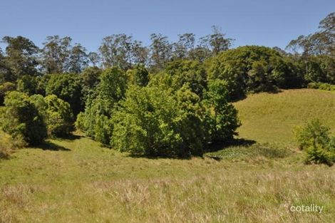 Property photo of 427 North Arm Road Argents Hill NSW 2449