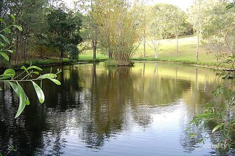 Property photo of 24 Browns Creek Road Narangba QLD 4504