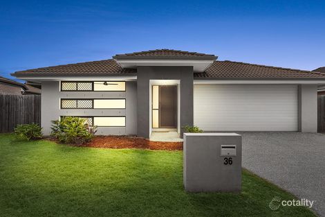 Property photo of 36 Fred Pham Crescent Doolandella QLD 4077