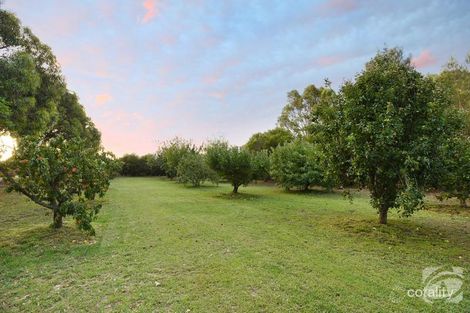 Property photo of 209 Ryan Road Sellicks Hill SA 5174