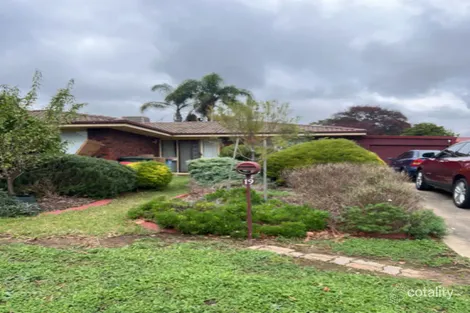 19 Callitris Ave, Surrey Downs, SA 5126