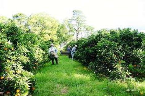 Property photo of 1245 Peats Ridge Road Peats Ridge NSW 2250