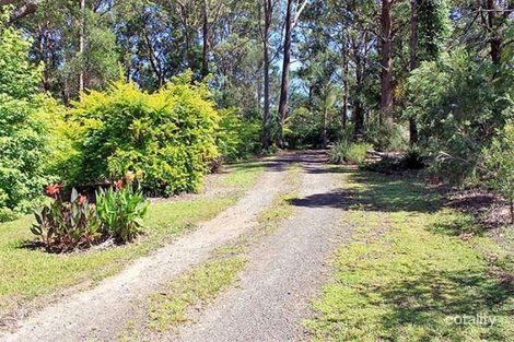 Property photo of 156 Gowings Hill Road Burnt Bridge NSW 2440