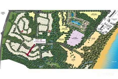 Property photo of 13 Muller Street Palm Cove QLD 4879