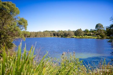 Property photo of 45 Margery Street Thornlands QLD 4164